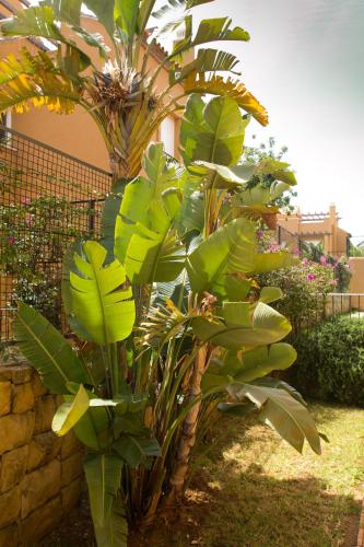 Villas Altos De Marbella - image 5