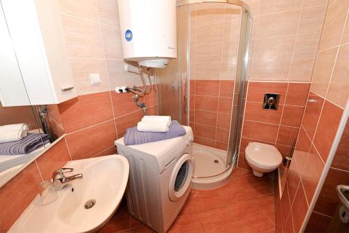 One-Bedroom Apartment image 6