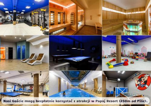 Apartamenty Pilice