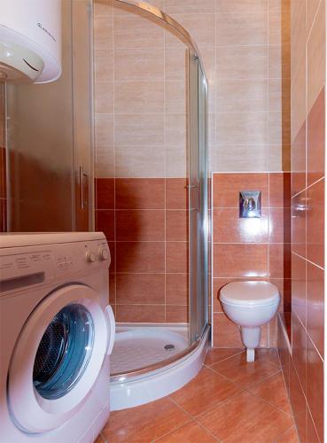 Two-Bedroom Apartment image 4
