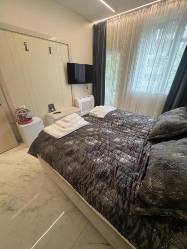 Luxurious House with Deluxe rooms & Free Secured Parking, Sofia (photo 8)