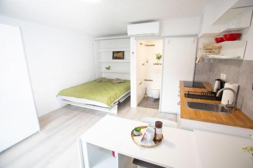 Apartment Studio Green