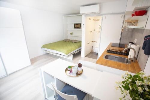 Apartment Studio Green, Lublaň (fotografie 8)