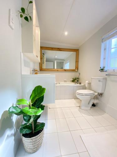 Cottage 10, Belvidere Manor, Knysna (fotografie 11)