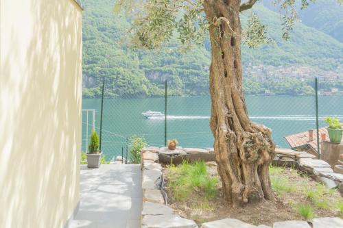 La Quiete with private Garden by Rent All Como - Apartment - Laglio