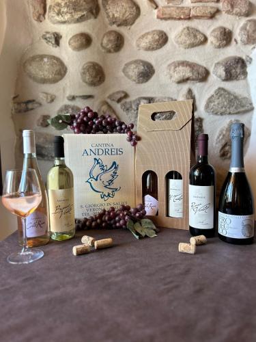 Agriturismo Colombarola - Accommodation - Sona