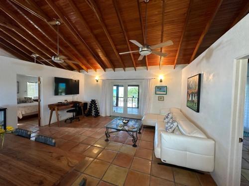 Panthers Paradise in Bailey Town