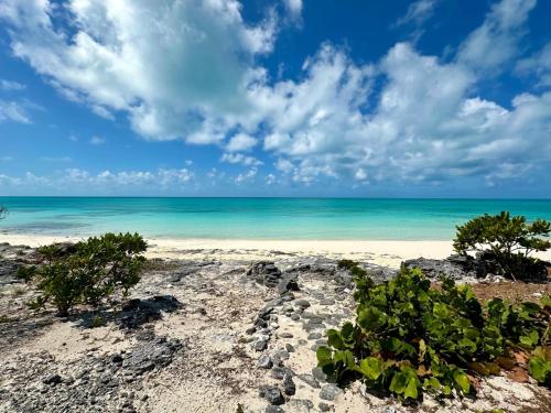 Panthers Paradise in Bailey Town