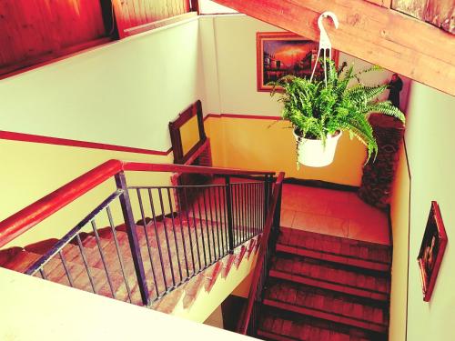 B&B Antica Trattoria - image 11