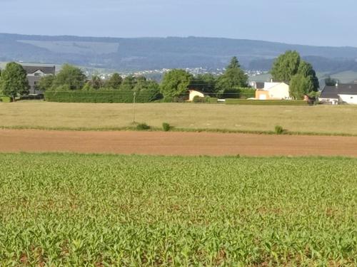 ทัศนียภาพภายนอกโรงแรม, Le chalet des Sarteaux in วีแลร์ เซอเมิส