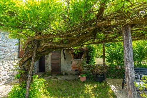 Aed, Agriturismo Valli in Castiglione di Garfagnana