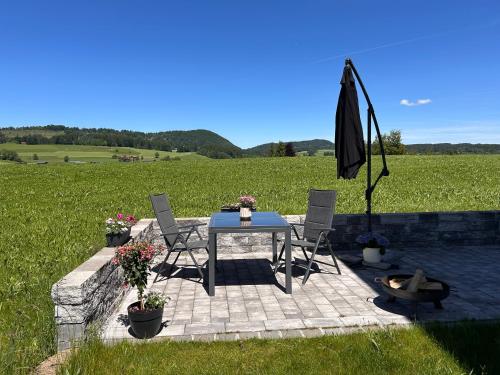 Apartment im Souterrain mit Terrasse in 霍普芬勞
