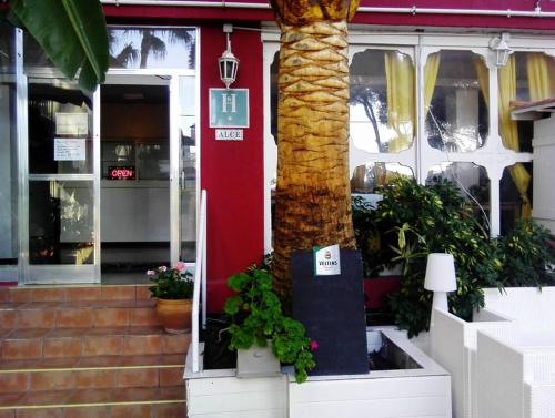 Hostal Alce