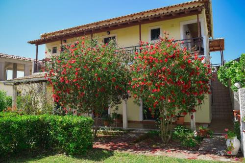  Mirsini Apartments in Agios Georgios