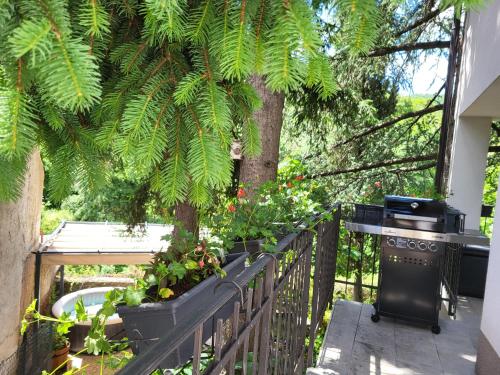 Apartman Bela in รูคาวัซ