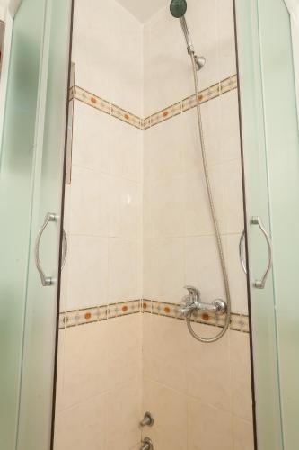 Vila Mitrovic - main image