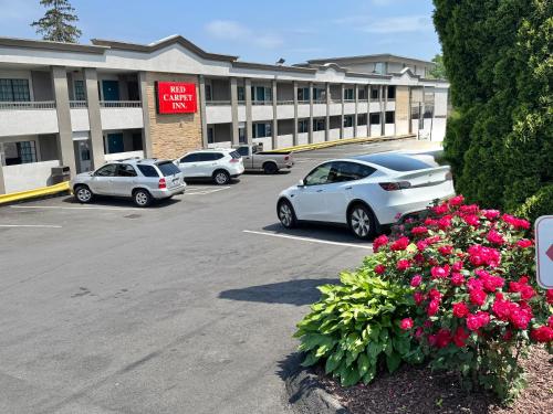 Red Carpet Inn - Stamford in Stamford, USA