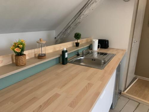 Appart cosy, calme proche fôret (Appart cosy, calme proche foret) in Senones