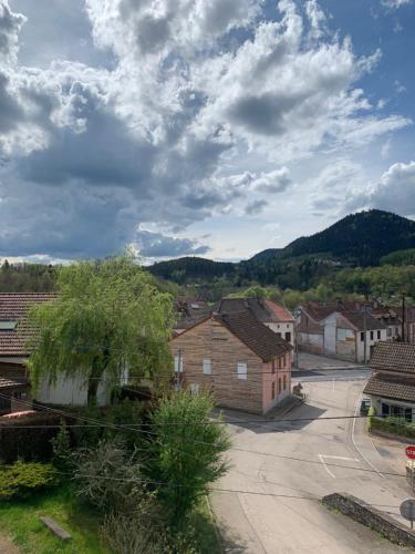 Appart cosy, calme proche fôret (Appart cosy, calme proche foret) in Senones