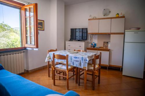Apartment with Terrace image 10