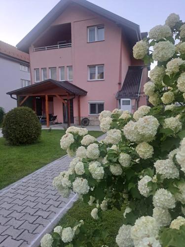 Apartman Feniks, Sjenica