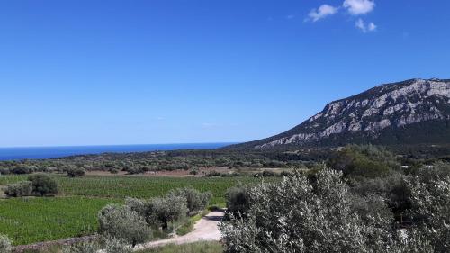  Agriturismo Su Barcu, Cala Gonone bei Galtellì