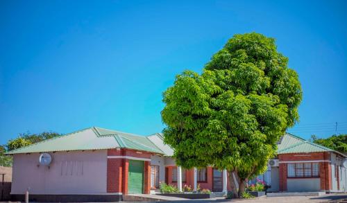 . Magodi Place - Serviced & Airconditioned Apartment