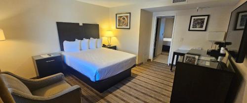 Two-Bedroom Suite with One King Bed and One Queen Bed - Non-Smoking