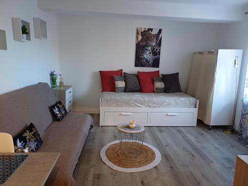 2 sofa beds