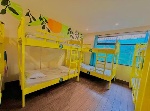 Stray Cat Hostel in San José