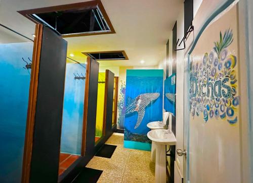 Douche, Stray Cat Hostel in San José