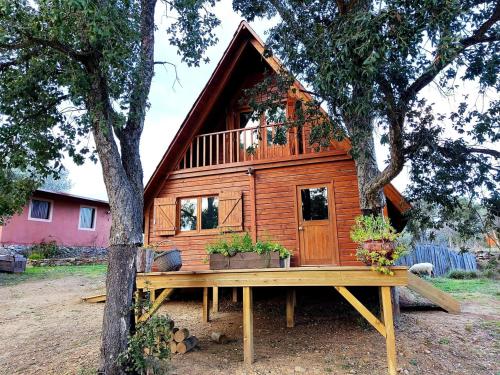 Family Friendly Chalet on a Ecological Farm in Tomar, Portgual gîte à louer Pai Cabeça