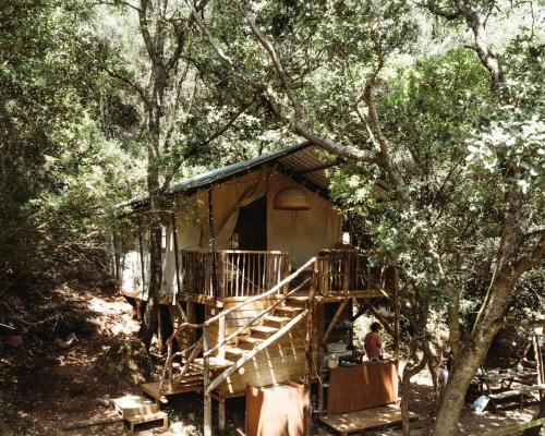 Portugal Glamping Tree House in Vieira de Leiria, for Vacations near Sintra gîte à louer Chamiço