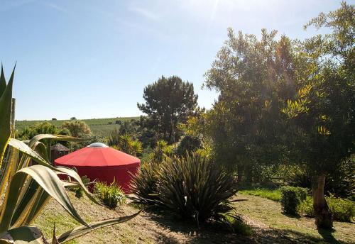 Stunning Glamping Yurt with a Pool near the Costa de Prata in Portugal gîte à louer Louções