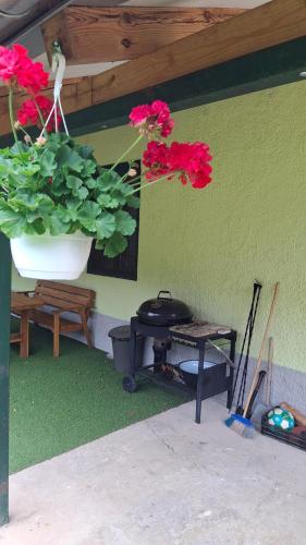 Garamszegi Szajki Vendeghaz in Hosszúpereszteg