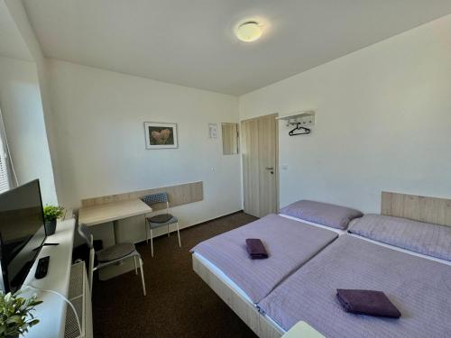 MiniPenzion Na Vyhlidce in สลาโวนิน