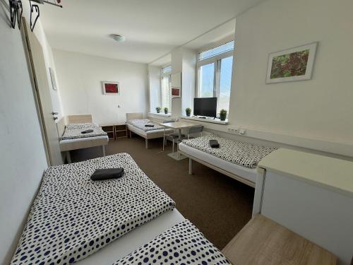 MiniPenzion Na Vyhlidce in สลาโวนิน