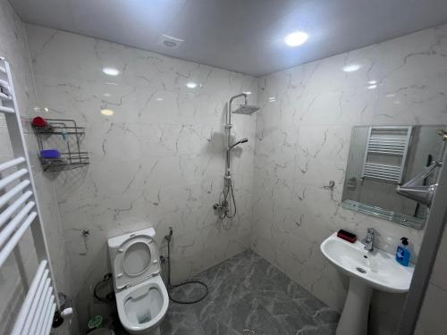 Gsth Mila – Tbilisi, MA