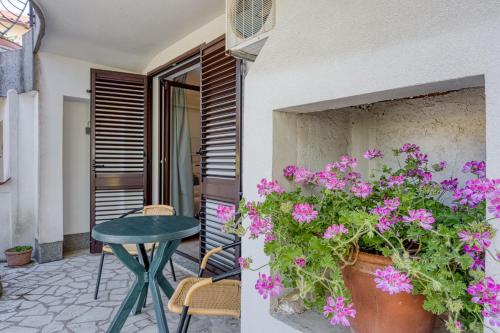 Guest House Jolanda - image 8