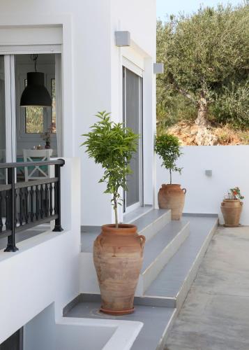 Helios Studios & Apartments in Makris Gialos