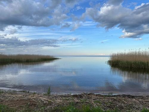 Skats, Tedreküla kuivati-puhkemaja (Tedrekula kuivati-puhkemaja) in Kodavere