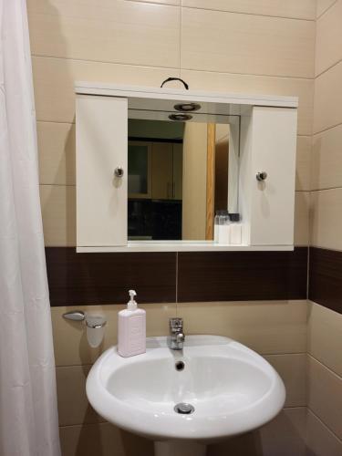 Studio Apartment image 10