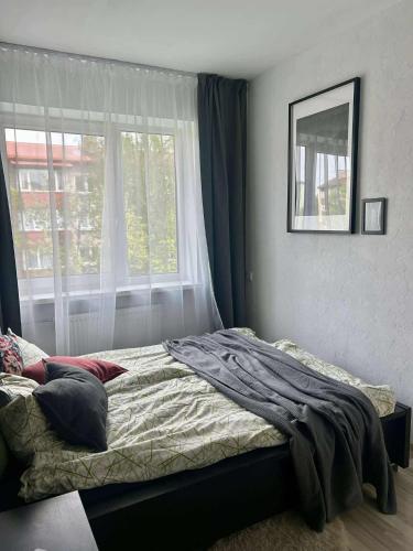 Your Place in Tallinn - newly renovated!, Tallinn (photo 9)