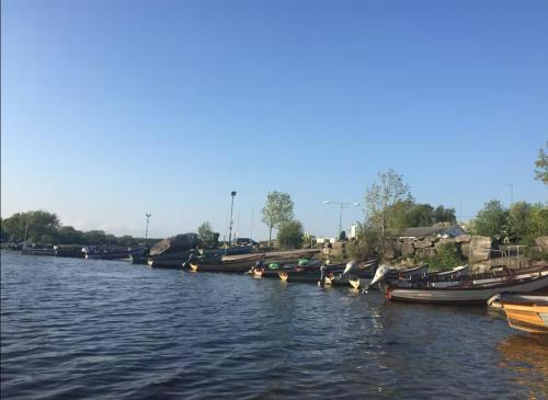 The Bungalow in เมย์โอ