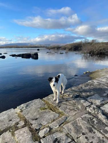 The Bungalow in เมย์โอ