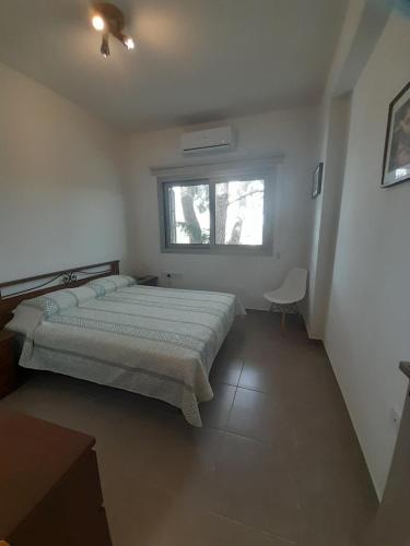 Olive & Pinetree House, Lythrodhondas (foto 10)