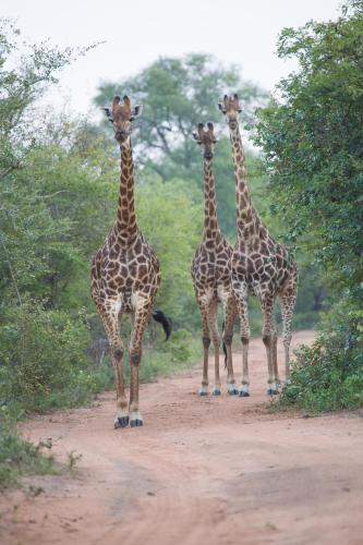 Unembeza Boutique Lodge & Spa