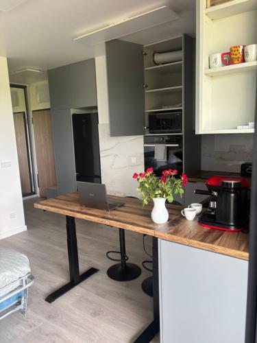Apartament LauraOLX nad Zegrzem z dostępem do wody