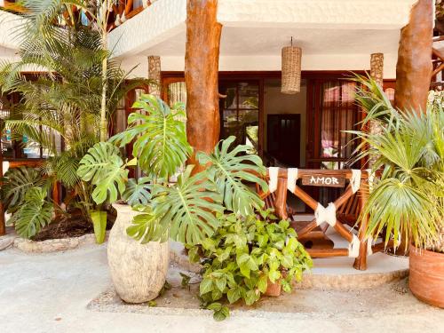 Hotel Para Ti - Adults Only