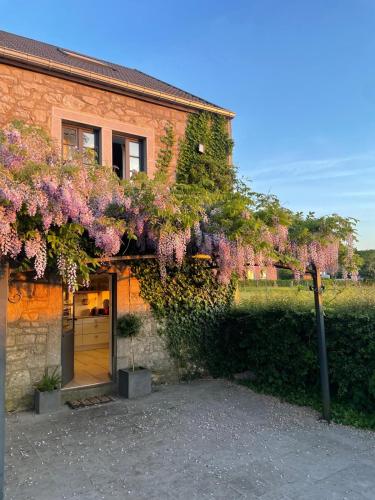 La Borlonette in 達弗爾迪斯